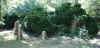 gc00008.jpg (124297 bytes)