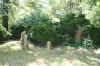 gc00009.jpg (176385 bytes)